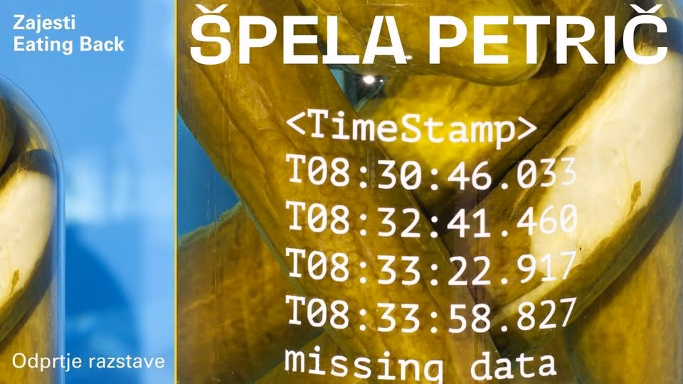 ŠPELA PETRIČ: Zajesti | Odprtje razstave