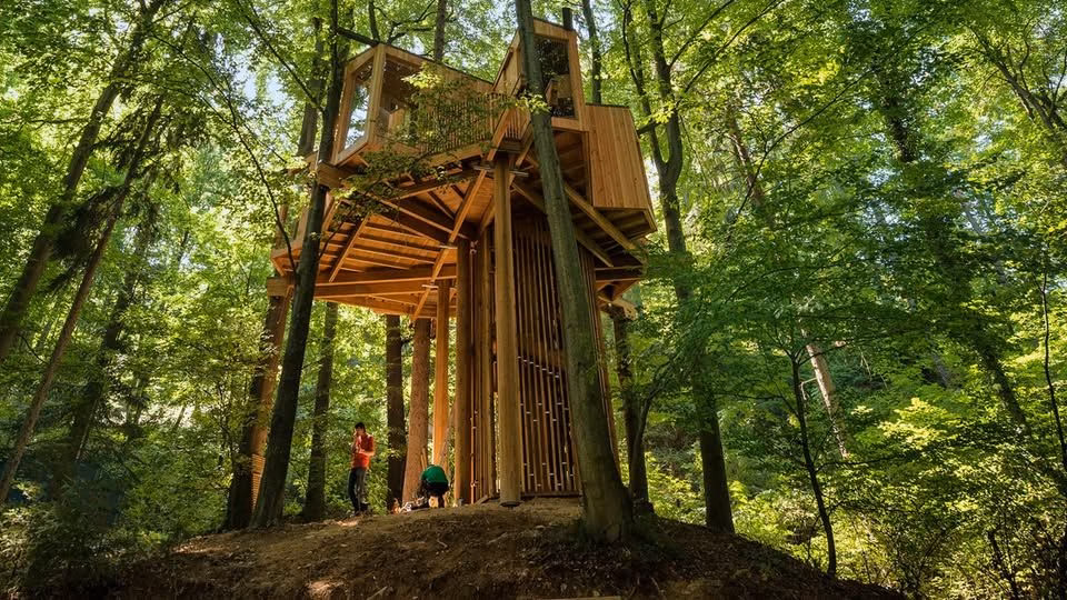 SVETOVNI DAN TURIZMA V CELJU: Voden ogled Mestnega gozda in Drevesne hiše
