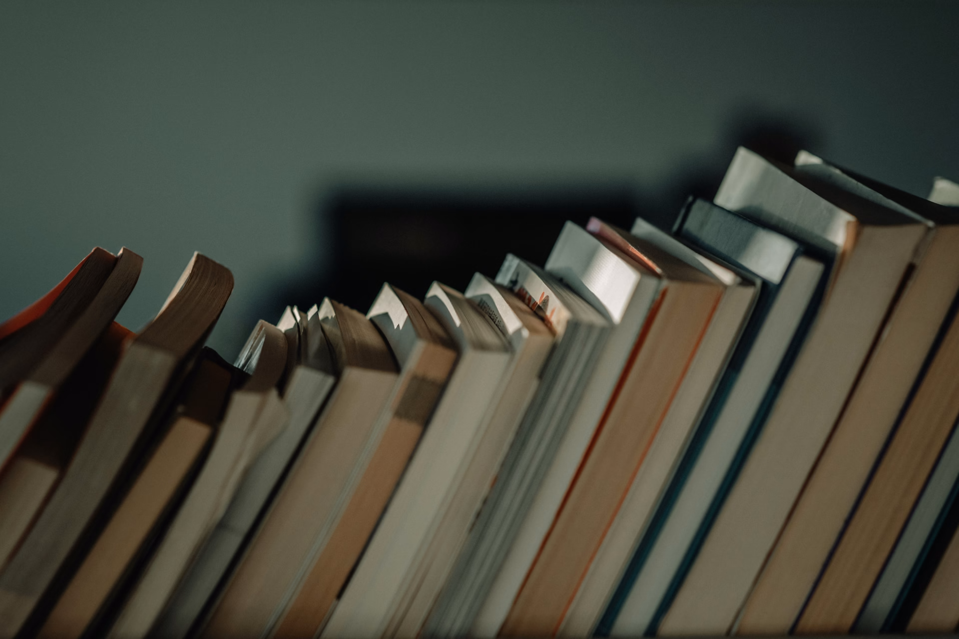 Nobelova nagrada za književnost Anne Carson